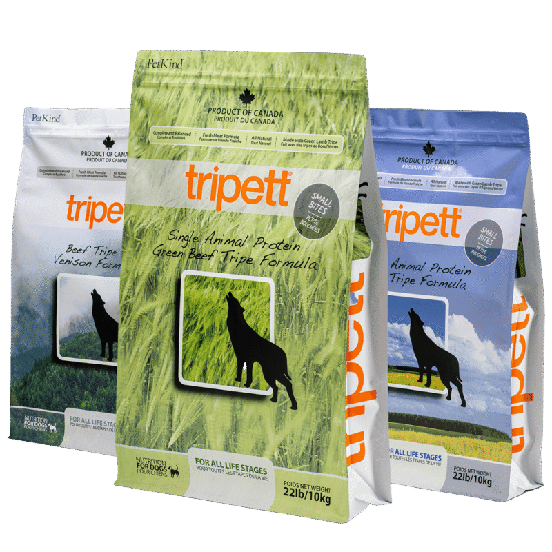 Healthy Dog Food